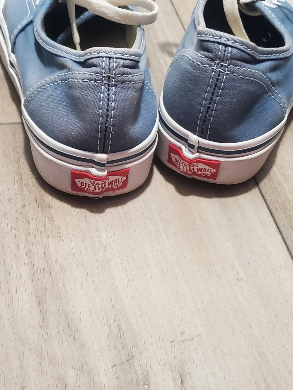 Vans Authentic Low Top Sneakers in Light Blue